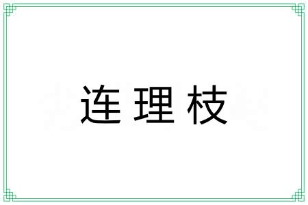 连理枝 连理枝