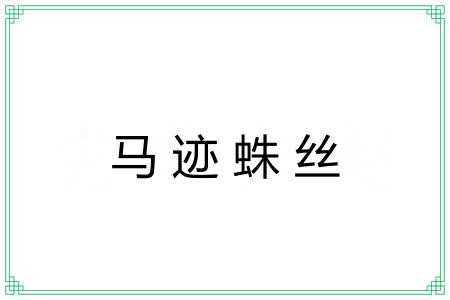 马迹蛛丝 马迹蛛丝