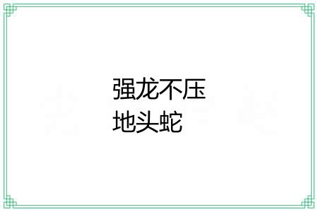 强龙不压地头蛇 强龙不压地头蛇
