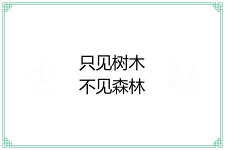 只见树木不见森林 只见树木不见森林