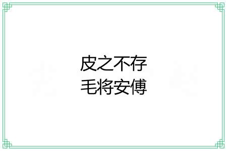 皮之不存毛将安傅 皮之不存毛将安傅
