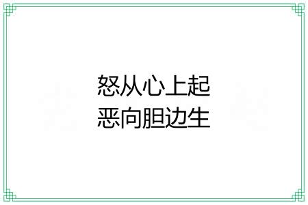 怒从心上起恶向胆边生 怒从心上起恶向胆边生