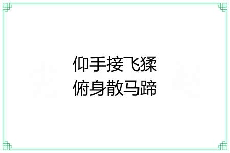 仰手接飞猱俯身散马蹄